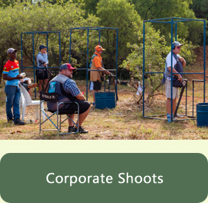 Corporate Shoots